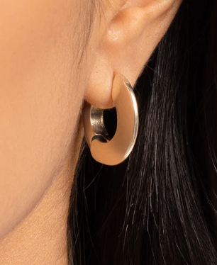 INTELLIGENCE OPERATION GOLD HOOPS HINGE