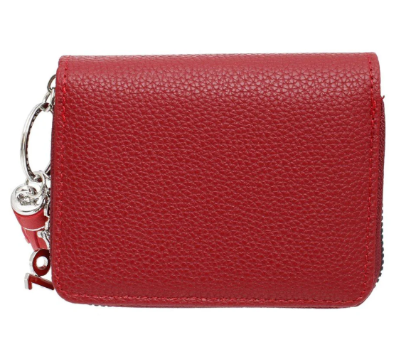 Delta Sigma Theta Sorority Paraphernalia Women's Keychain Zipper Wallet